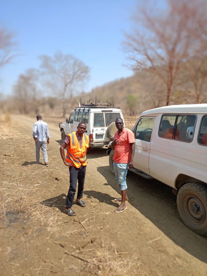 Activity from consultancy